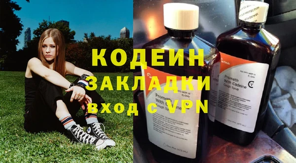трава Белокуриха
