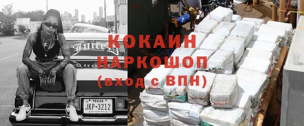 трава Белокуриха