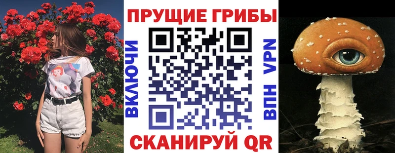 даркнет клад  Надым  Псилоцибиновые грибы MAGIC MUSHROOMS 