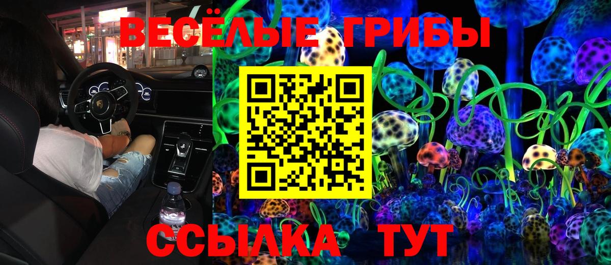 Псилоцибиновые грибы GOLDEN TEACHER Надым