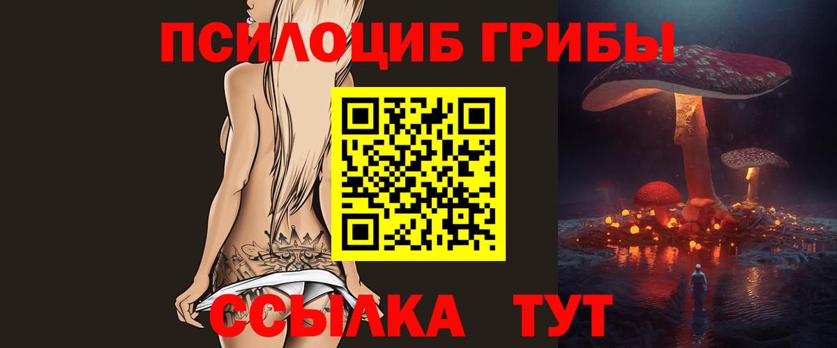 Надым  Псилоцибиновые грибы Psilocybine cubensis  Вход с VPN 